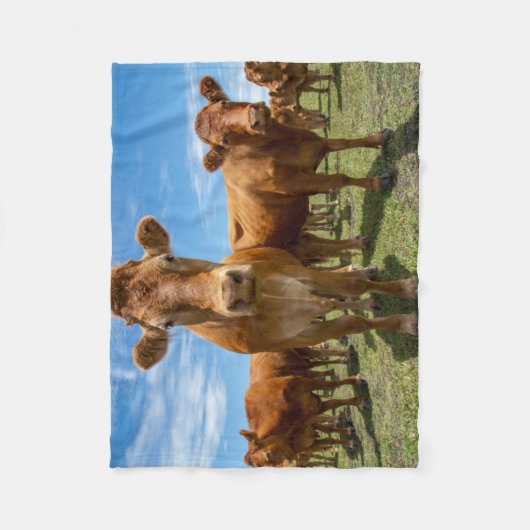 Couverture Polaire Farms | Brown cow (Devant)