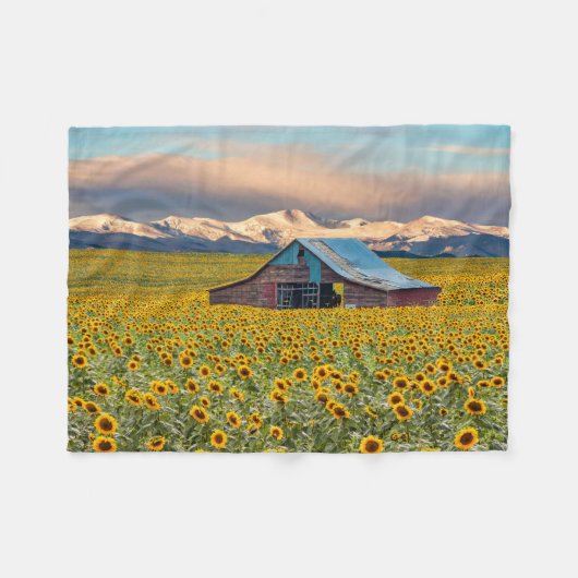 Couverture Polaire Farms | Field (Devant (Horizontal))