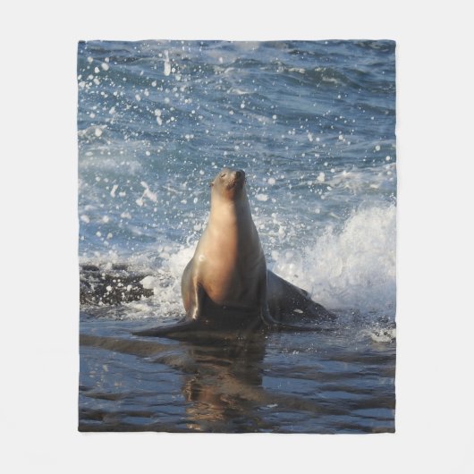 Couverture Polaire Faune couverture, vie marine, Lion de mer de Calif (Devant)