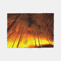 Feu forestier