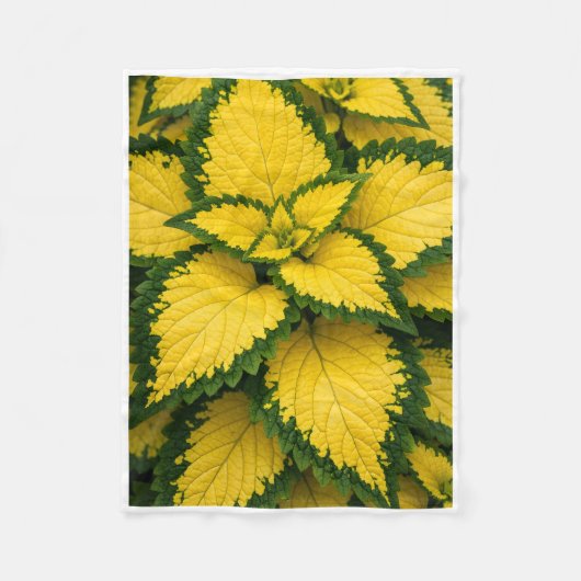 Couverture Polaire Feuilles de Coléus Jaune ADOM Plaid (Devant)