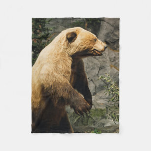Couverture Polaire Fière Ours