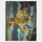 COUVERTURE POLAIRE FIN DU SENTIER (Devant)