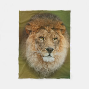 Couverture Polaire Fin majestueuse de lion de l'Afrique du Sud