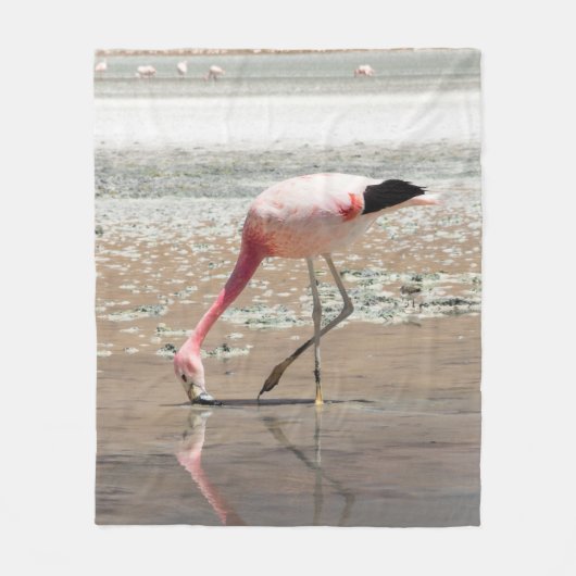 Couverture Polaire Flamant rose ROSE SUR LE CORPS D'EAU (Devant)