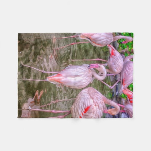 Couverture Polaire Flamants roses roses (Devant (Horizontal))