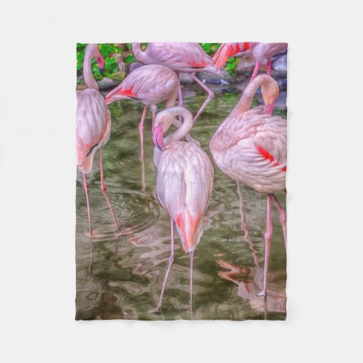Couverture Polaire Flamants roses roses (Devant)
