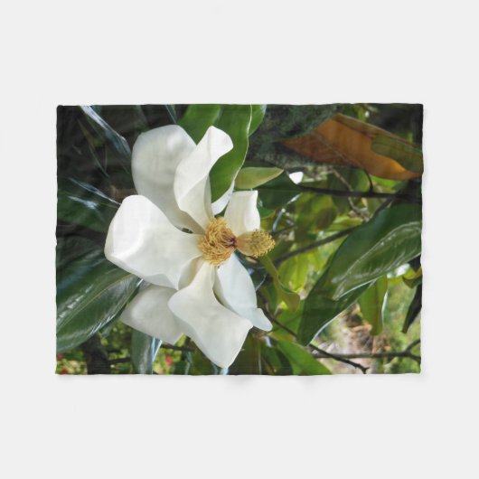 Couverture Polaire Fleur de magnolia (Devant (Horizontal))