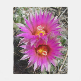 Couverture Polaire Fleurs de cactus à billes F5 "Escobaria vivipara"