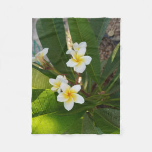Couverture Polaire Fleurs Frangipani parfumées
