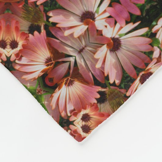 Couverture Polaire Fleurs marguerites africaines roses Abstraites (Coin)