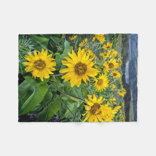 Couverture Polaire Fleurs | Rivière Balsomroot Columbia, Oregon (Devant (Horizontal))