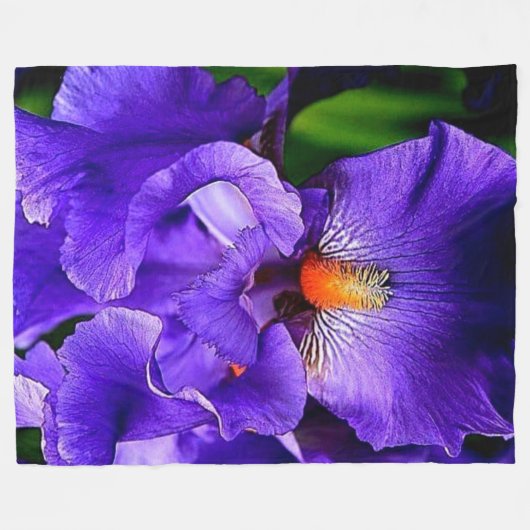COUVERTURE POLAIRE FLEUVE PURPLE (Devant (Horizontal))