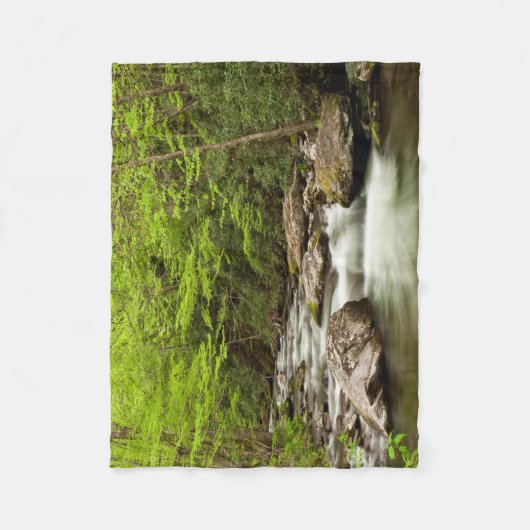 Couverture Polaire Flux De Fourche Droite À Travers La Forêt (Devant)