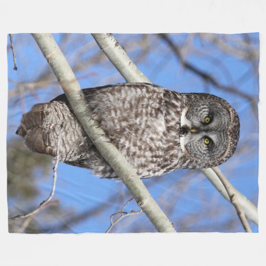 Couverture Polaire Focalisé (Devant (Horizontal))