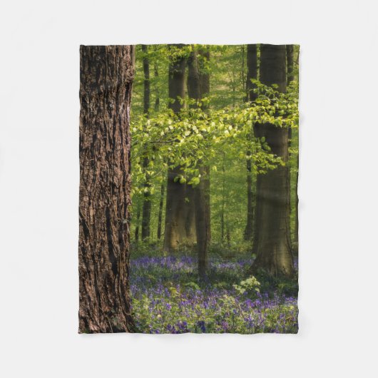Couverture Polaire Forest | Bluebells en Belgique (Devant)