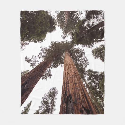 Couverture Polaire forêt, arbre (Devant)