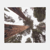 Couverture Polaire forêt, arbre (Devant (Horizontal))