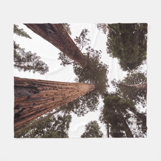 Couverture Polaire forêt, arbre (Devant (Horizontal))