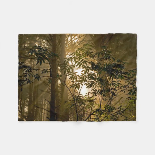 Couverture Polaire Forêt de feuillus persistants | Côte de l'Oregon (Devant (Horizontal))
