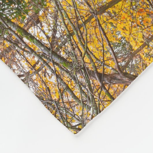 Couverture Polaire Forêt de l'automne avec chemin (Coin)