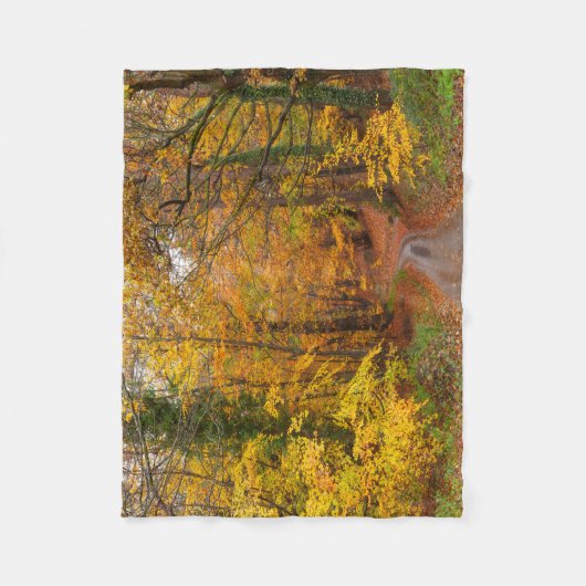 Couverture Polaire Forêt de l'automne avec chemin (Devant)