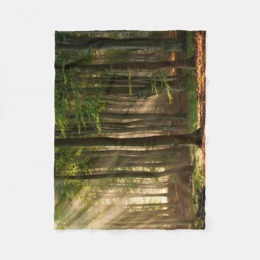 Couverture Polaire Forêt | Forêt d'automne (Devant)