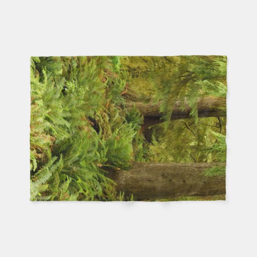 Couverture Polaire Forêt luxuriante et fougères | Ecola State Park, O (Devant (Horizontal))