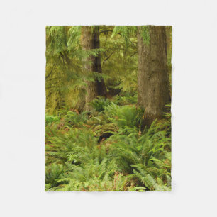 Couverture Polaire Forêt luxuriante et fougères Parc d'État Ecola,