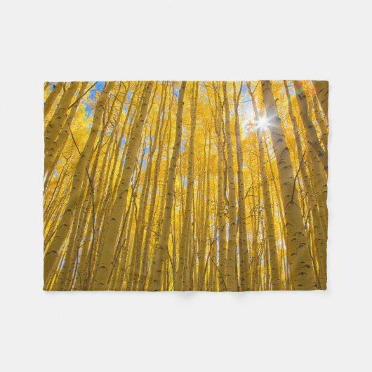 Couverture Polaire Forêt nationale de White River (Devant (Horizontal))