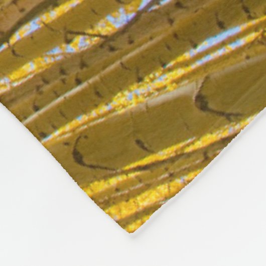 Couverture Polaire Forêt nationale de White River (Coin)