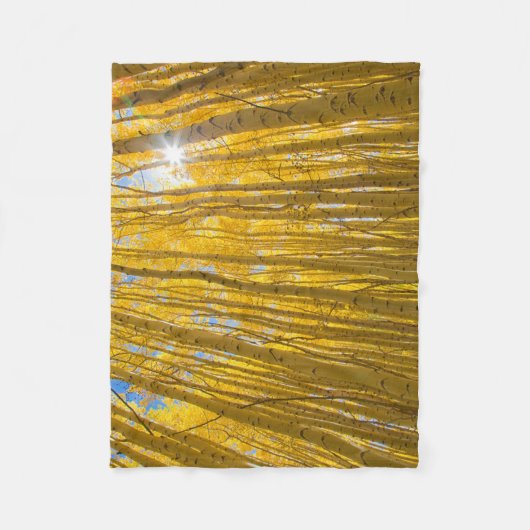 Couverture Polaire Forêt nationale de White River (Devant)