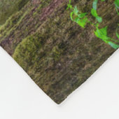 Couverture Polaire Forêt nationale de Willamette | Oregon (Coin)