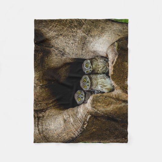 Couverture Polaire Forêt | Trois Chouettes (Devant)