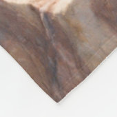 Couverture Polaire formation de roches Brown (Coin)