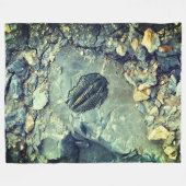 Couverture Polaire Fossile (Devant (Horizontal))