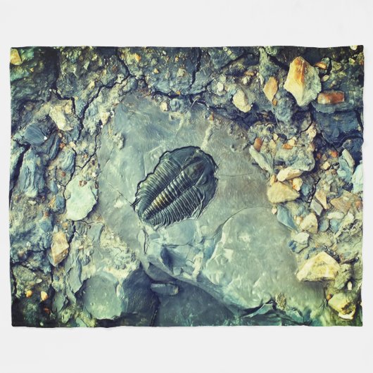 Couverture Polaire Fossile (Devant (Horizontal))