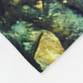 Couverture Polaire Fossile (Coin)