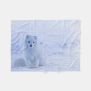 Couverture Polaire Fox arctique de l'Islande