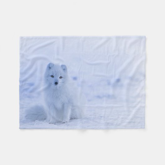 Couverture Polaire Fox arctique de l'Islande (Devant (Horizontal))