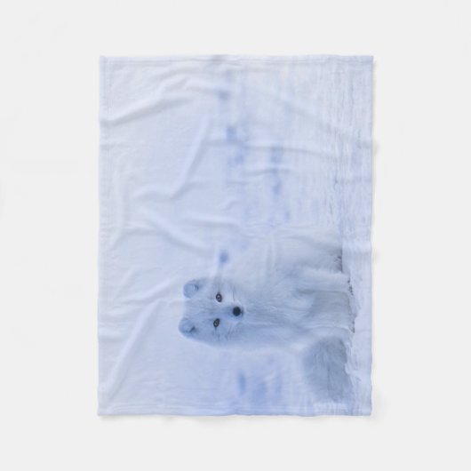 Couverture Polaire Fox arctique de l'Islande (Devant)