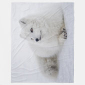 COUVERTURE POLAIRE FOX ARTIQUE (Devant)