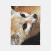 Couverture Polaire Fox de Fennec (Devant)