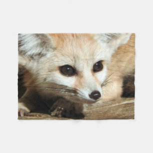 Couverture Polaire Fox de Fennec