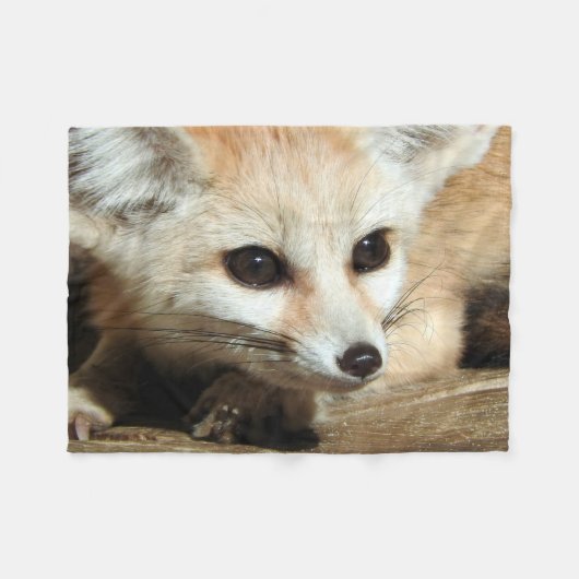 Couverture Polaire Fox de Fennec (Devant (Horizontal))