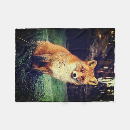 Couverture Polaire Fox rouge dans une forêt (Devant (Horizontal))