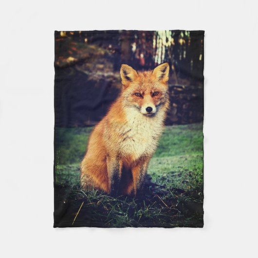 Couverture Polaire Fox rouge dans une forêt (Devant)