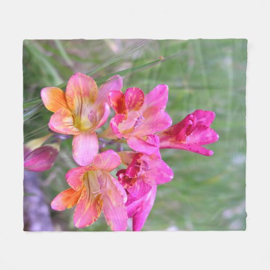 Couverture Polaire Freesias roses (Devant (Horizontal))