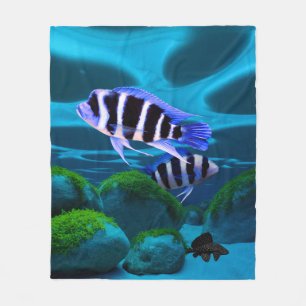 Couverture Polaire Frontosa Cichlid Plecostomus Aquarium Poisson