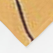 Couverture Polaire Frosté Dans Un Bain À Remous (Coin)